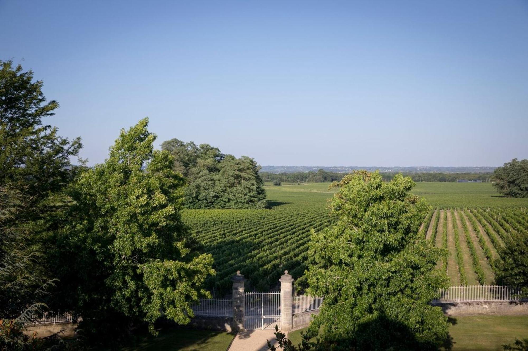 Château Malescasse Lamarque Exterior foto