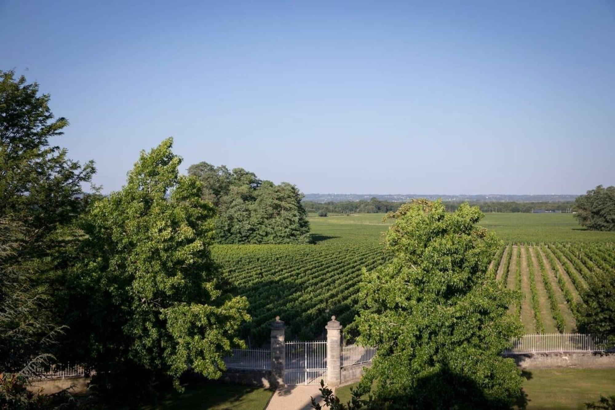 Château Malescasse Lamarque Exterior foto